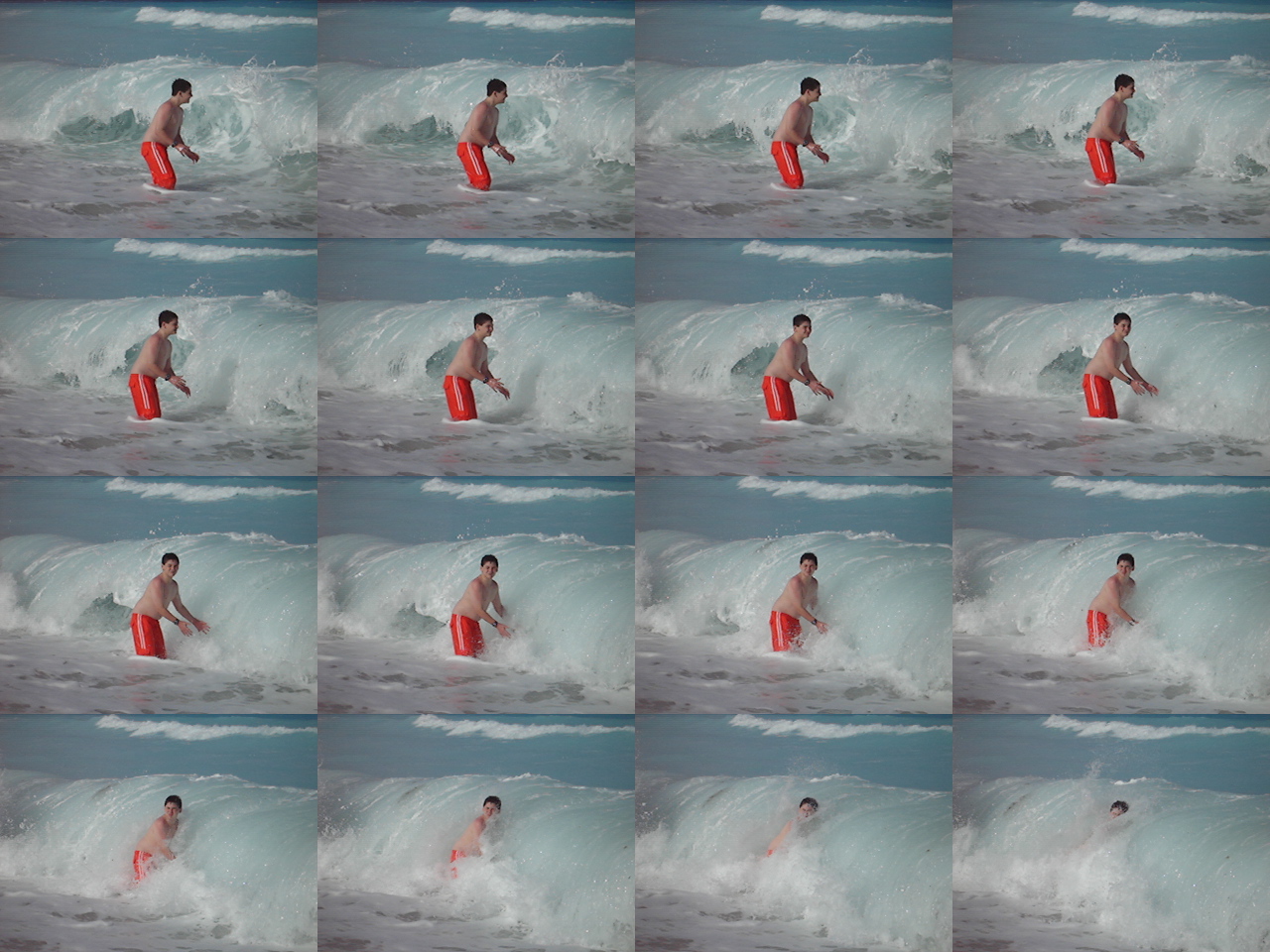 The Waves
