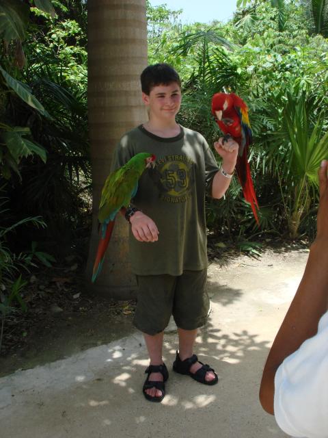 The Birdman of Cancun