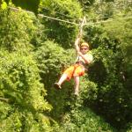 Zip Line