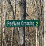 PeeWeeCrossing