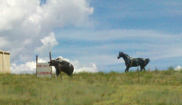 2012-06-02_10-41-23_945