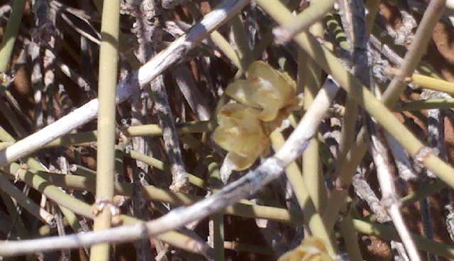 2012-06-03_14-56-49_435