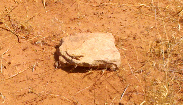 2012-06-04_09-48-09_71