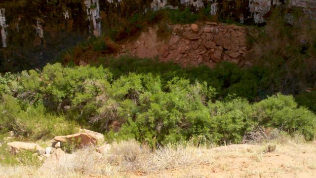 2012-06-04_11-44-20_803