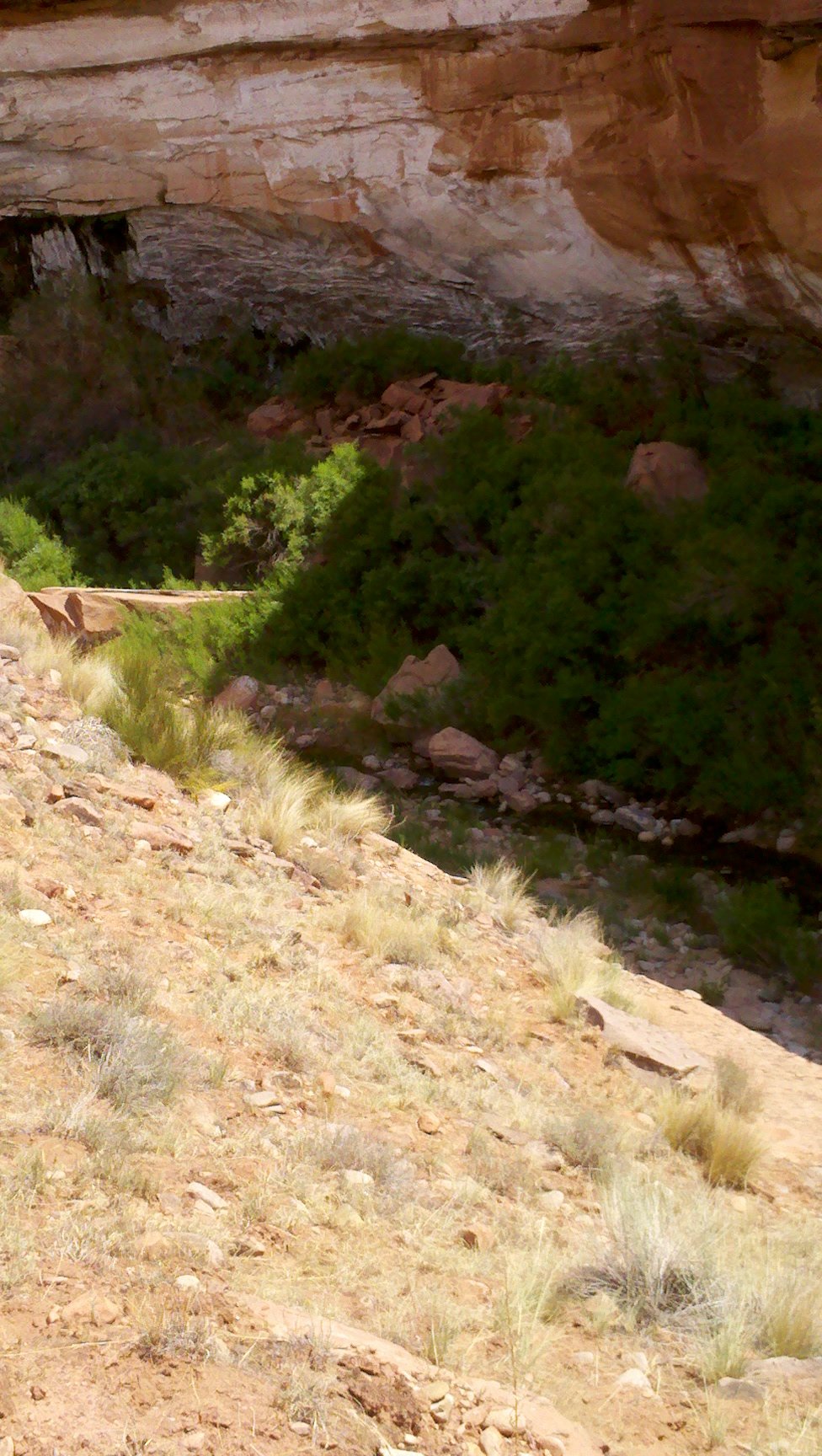 2012-06-04_11-45-30_502