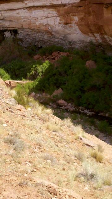 2012-06-04_11-45-30_502