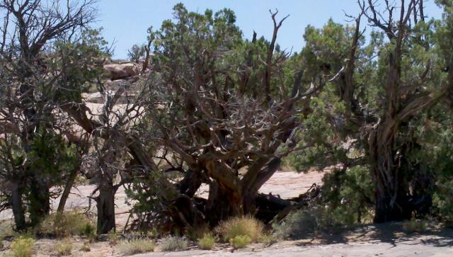 2012-06-05_12-31-12_658