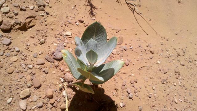 2012-06-06_13-08-03_33