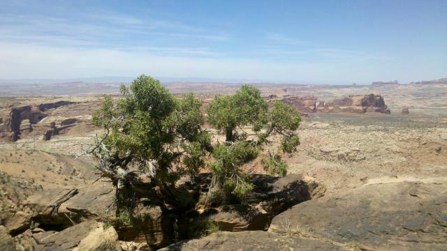 2012-06-06_14-18-48_844