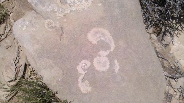 2012-06-06_14-21-18_508