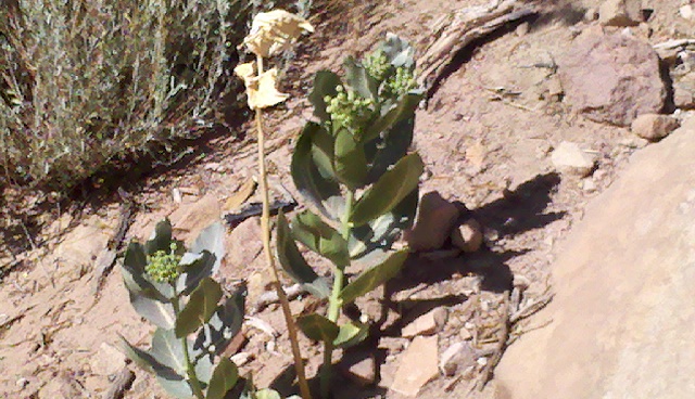 2012-06-06_16-57-37_155