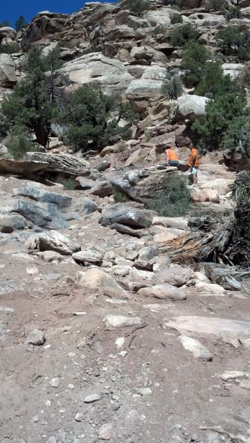 2012-06-07_11-01-30_687