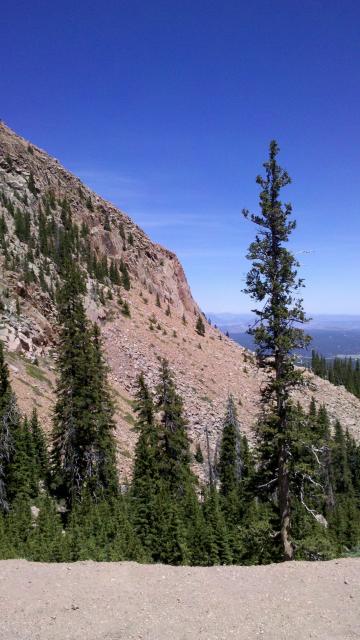 2012-06-09_11-38-57_8